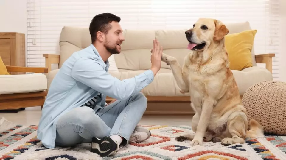Man sitting at home with his dog after relocation