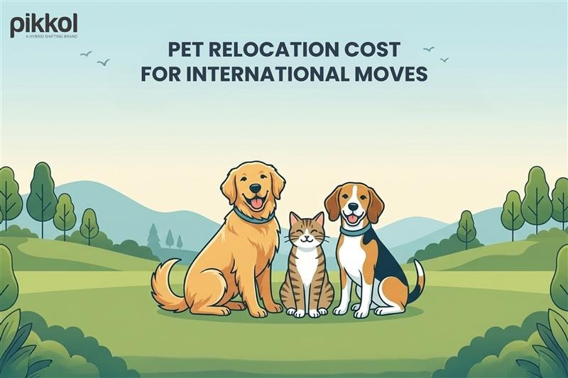 Pet relocation international