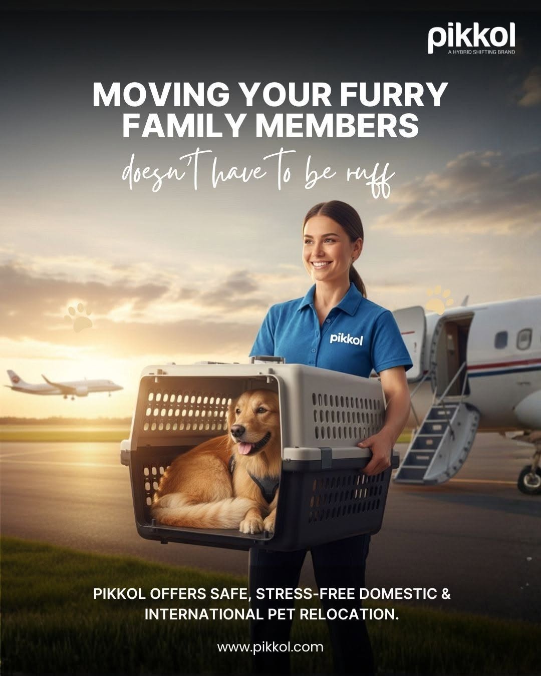 Pet relocation agency